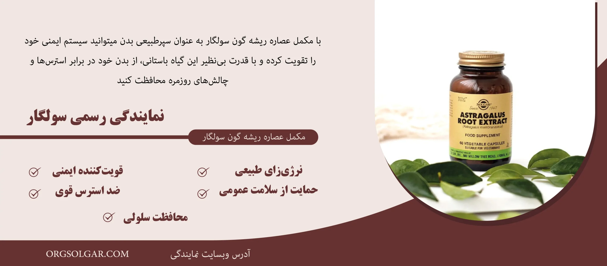 ریشه گون سولگار