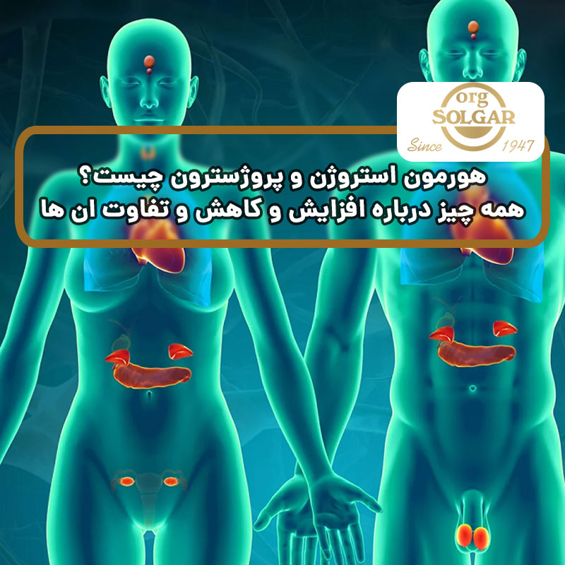 هورمون استروژن و پروژسترون چیست؟ همه چیز درباره افزایش و کاهش و تفاوت ان ها